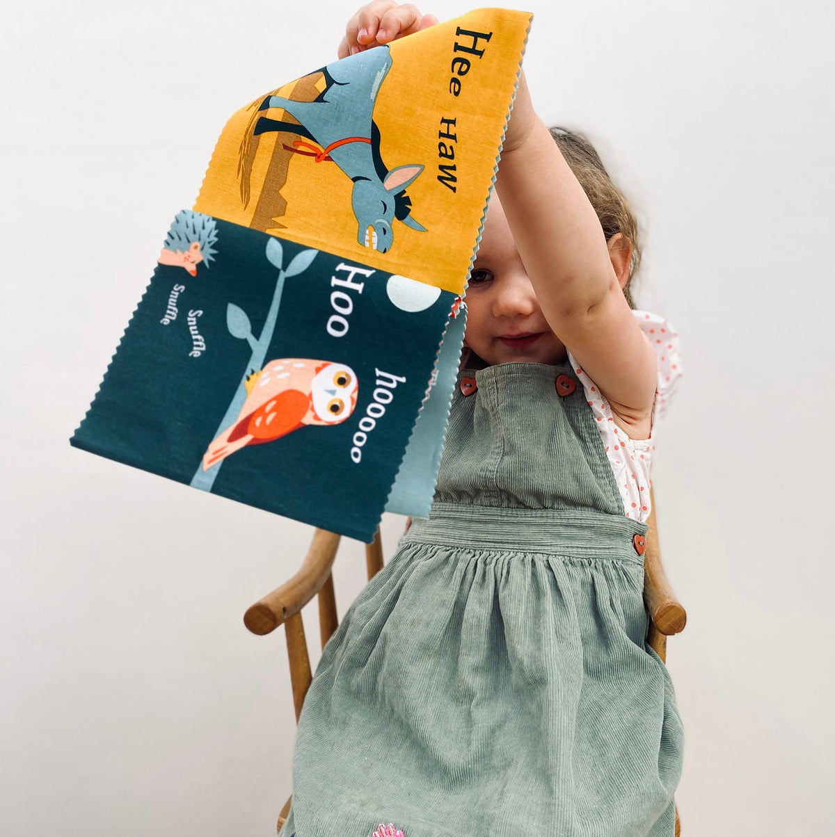 Noisy Farmyard Rag Book
