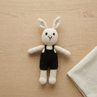 LS2491 - Bunny Rattle - Boy 1