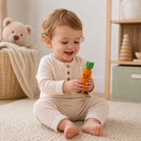 LS2521 - Carrot Rattle 3