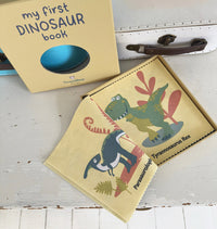 My First Dinosaur Book Rag Book