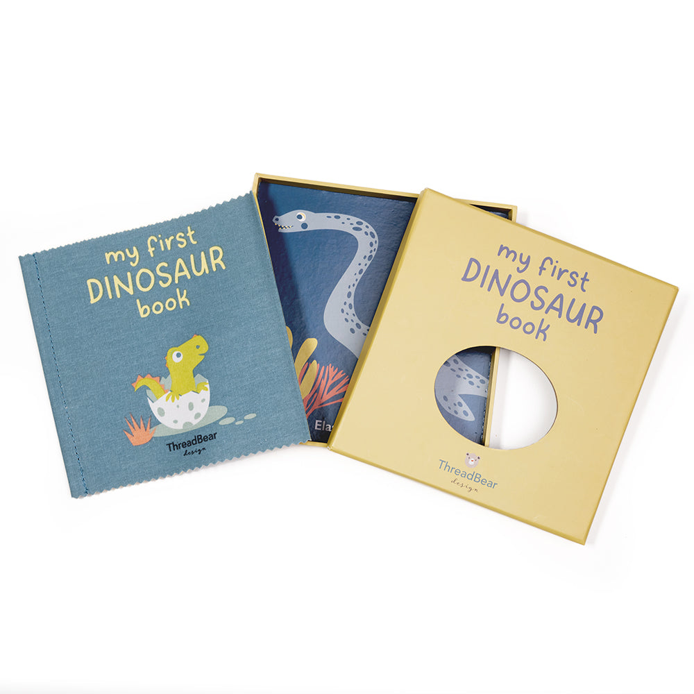 My First Dinosaur Book Rag Book