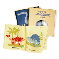 My First Dinosaur Book Rag Book